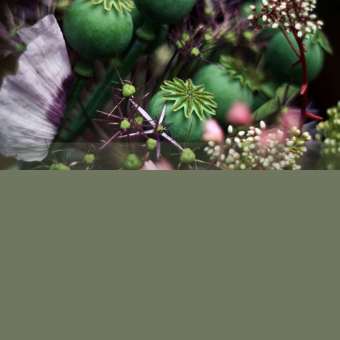 Blumenbine Floristikstudio Referenzen