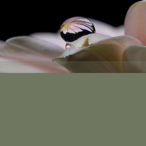 Blumenbine Floristikstudio Veranstaltungen Blumenbine Floristikstudio Veranstaltungen